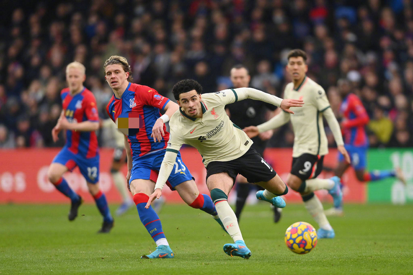 不仅强化了 不仅强化了